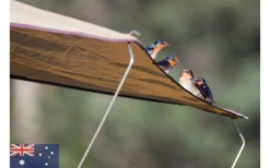 Gordigear Dachzelt 165 Plus Für 3 Personen Mit Vorzelt 165 X 320 Cm Grün 15 Gordigear Dachzelt 165 Plus Für 3 Personen Mit Vorzelt 165 X 320 Cm Grün -Roben Peak Geschaft 585663 3986115